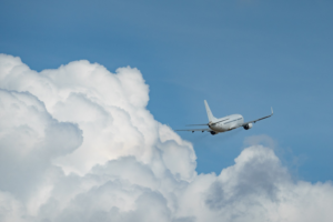Sustracción Internacional De Menores